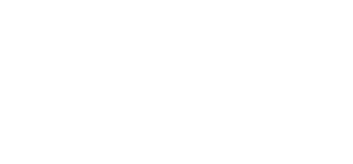 NPDL TRACK Logo